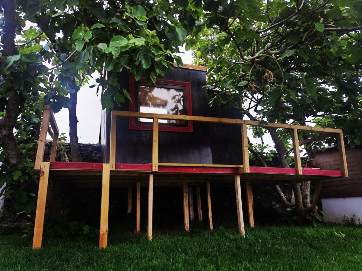 Azores Cow House Calhetas Esterno foto