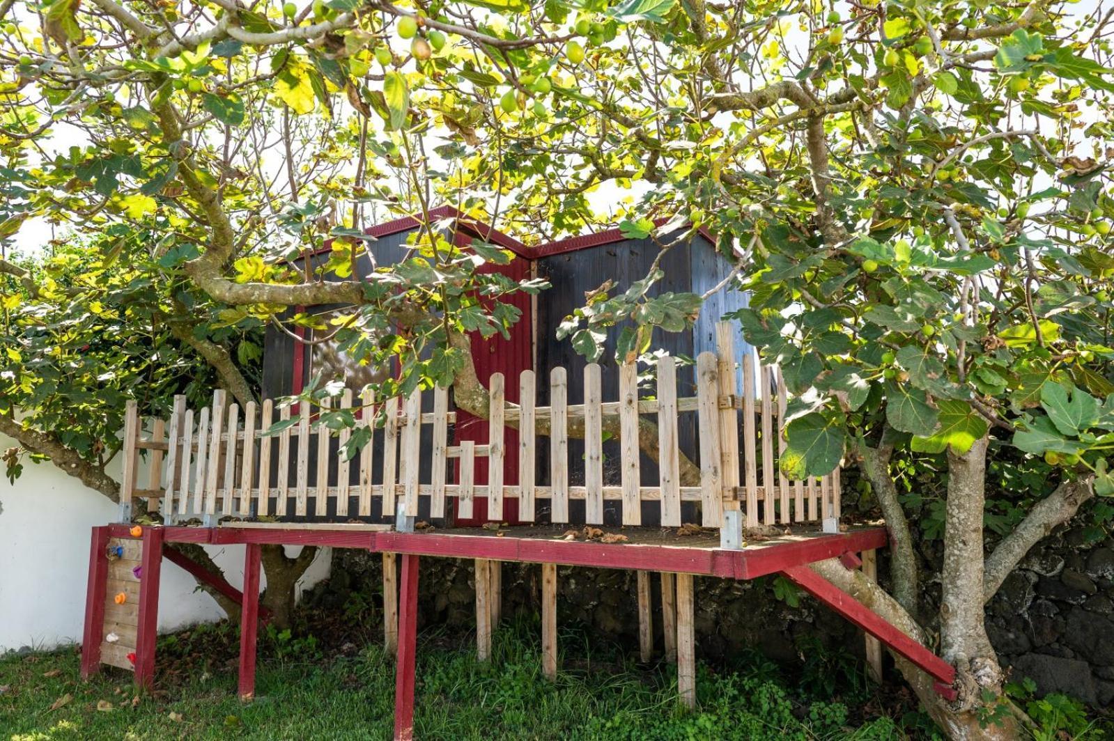Azores Cow House Calhetas Esterno foto